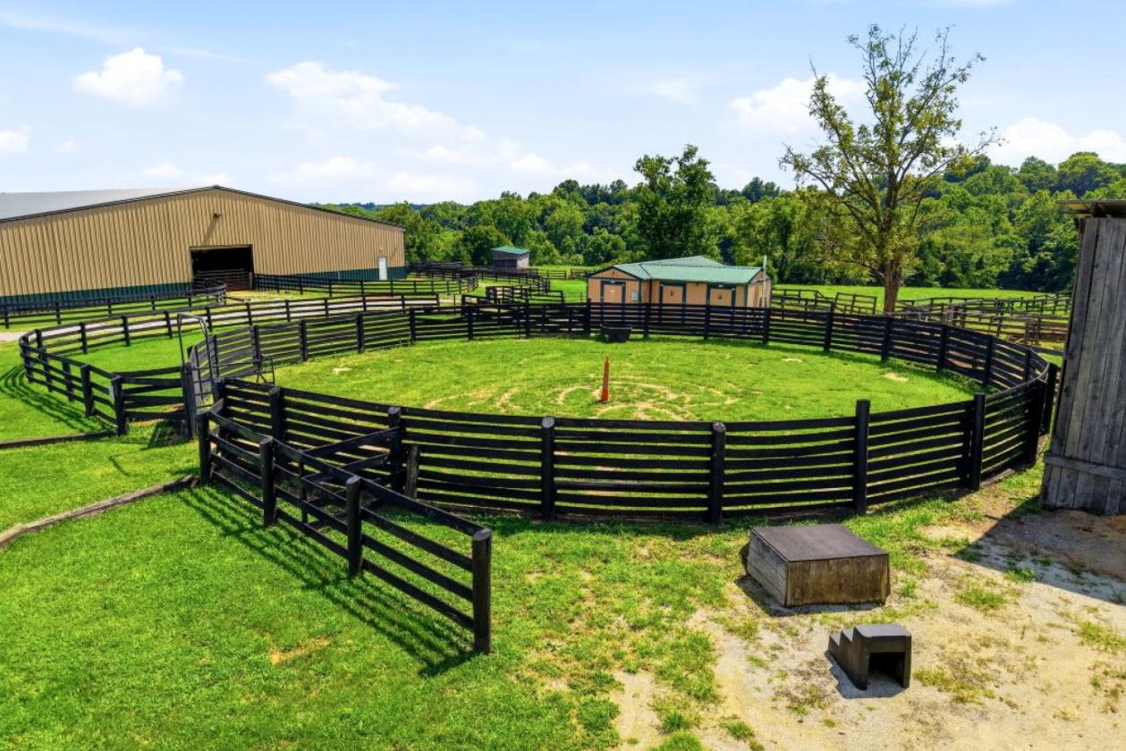 Equestrian Horse Farm with 73.5 acres - photo 12