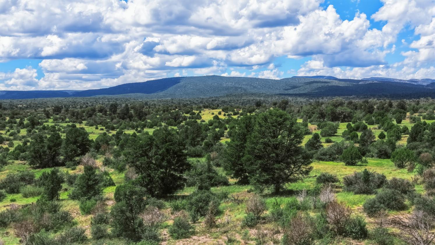 627 Acres in Yavapai County - photo 8