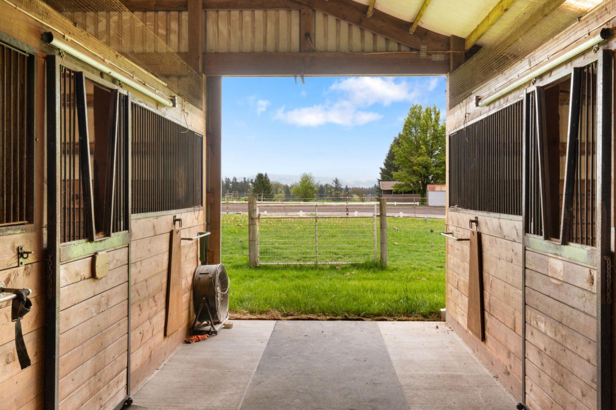 Practical Equestrian - Covered & Outdoor Arena - photo 13