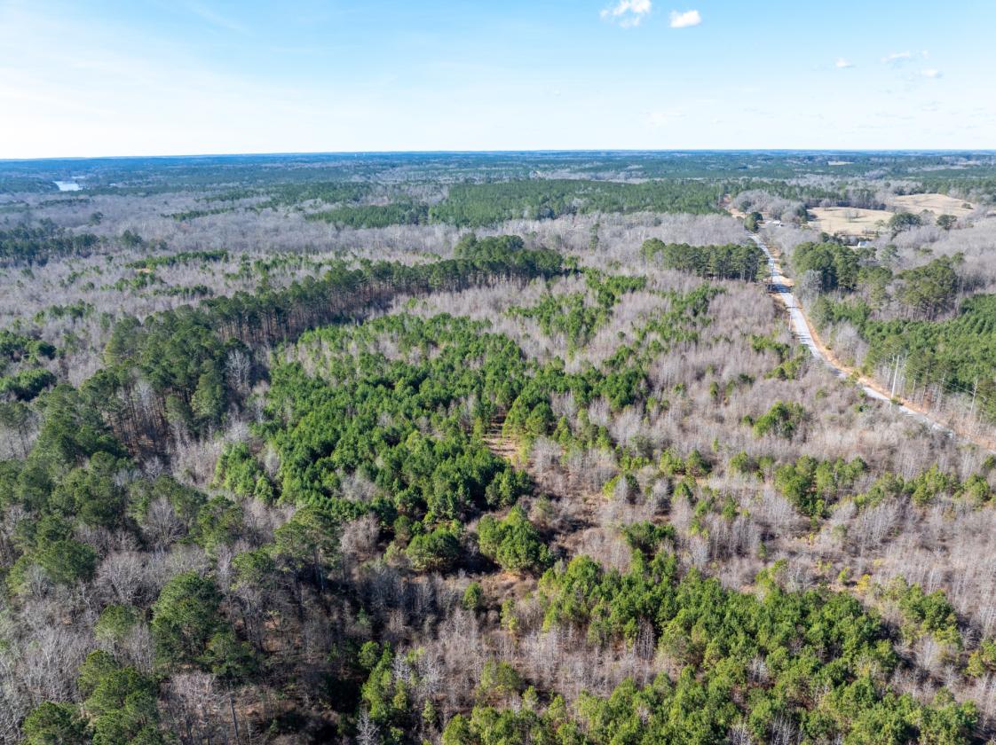 211 Acres- Luxury Estate & Equestrian Development - photo 24