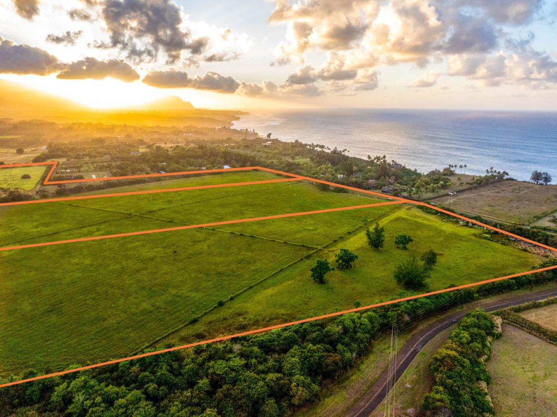 58+ Acres of Prime Land on Kauai's North Shore - photo 14