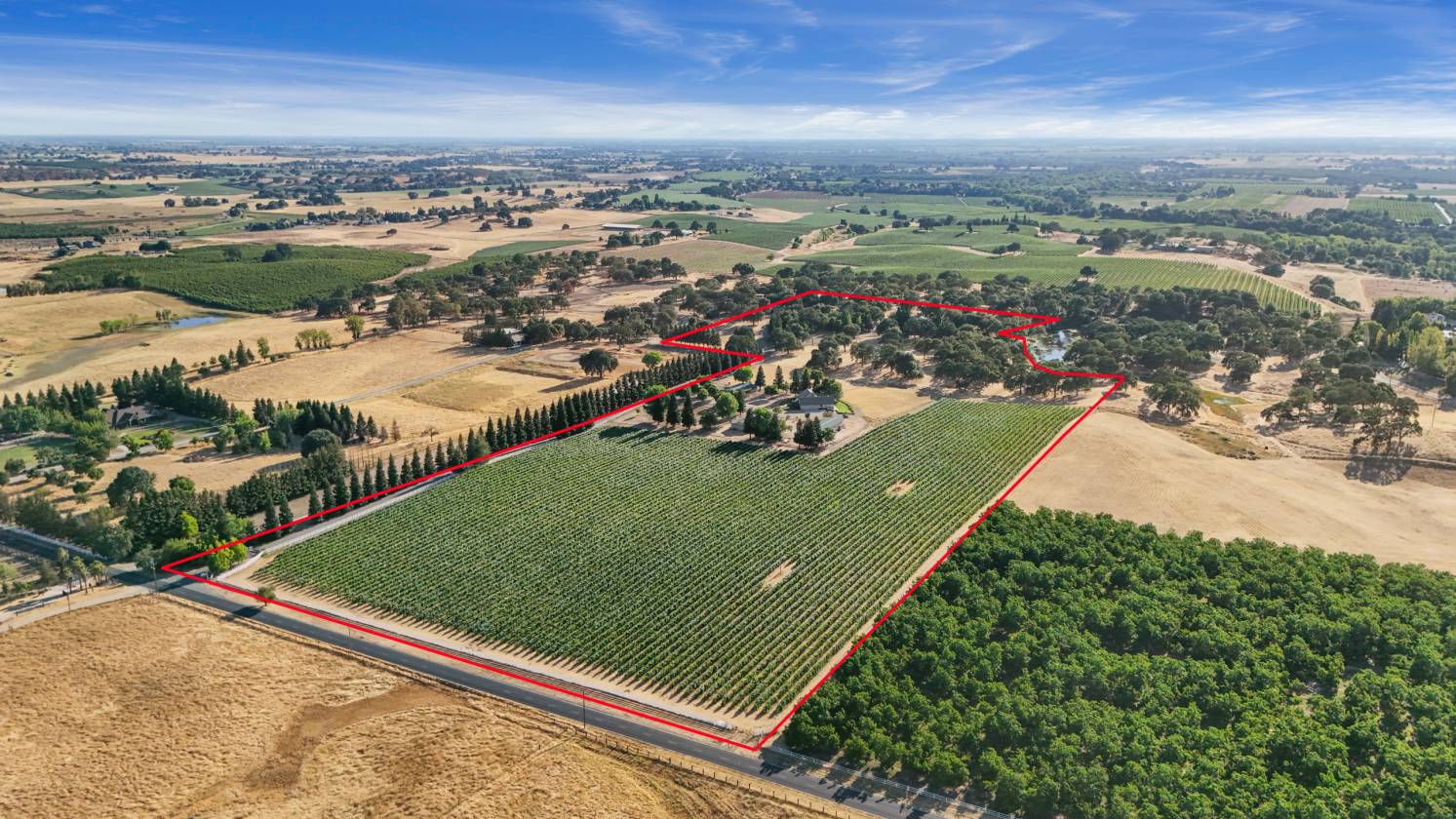 Estate with 7 pastures, 2 homes, lake, Vineyard - photo 1