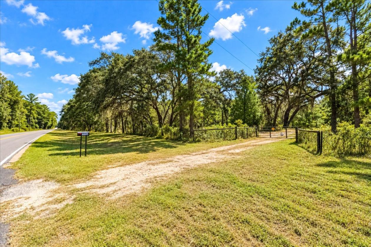 32 ACRES IN LEVY COUNTY NEAR WILLISTON - photo 15