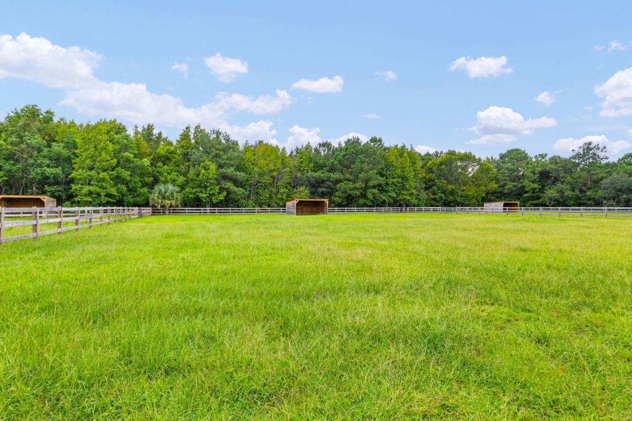 35 Acre Equestrian Estate + Newly Renovated Home - photo 27