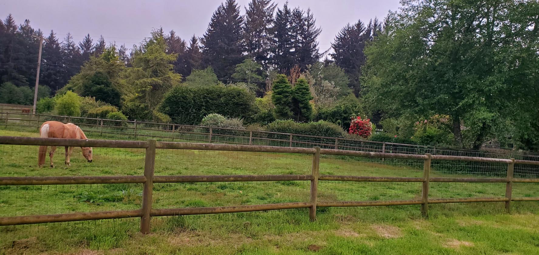 California Redwood Coast Income Horse Property - photo 8