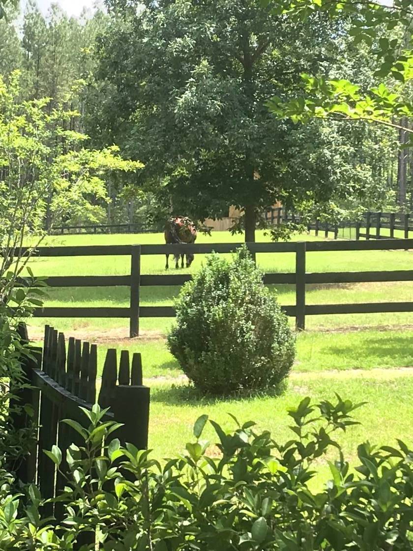 21 acre horse farm, 6 stall barn, optional 19+ acres.... Aiken, Aiken County, South Carolina