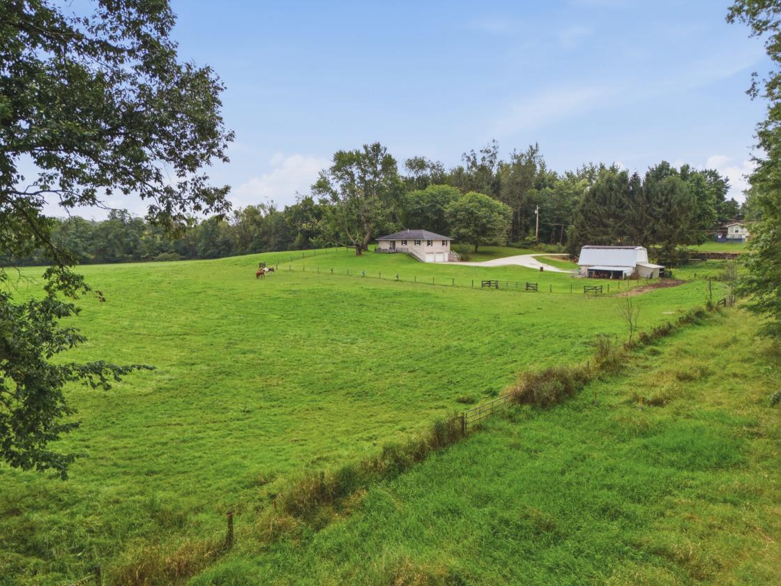 9+ Acre Horse Property with 2-Stall Barn - photo 10