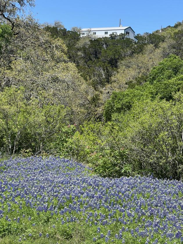 Canyon Lake Acreage — Live Where Others Vacation - photo 18
