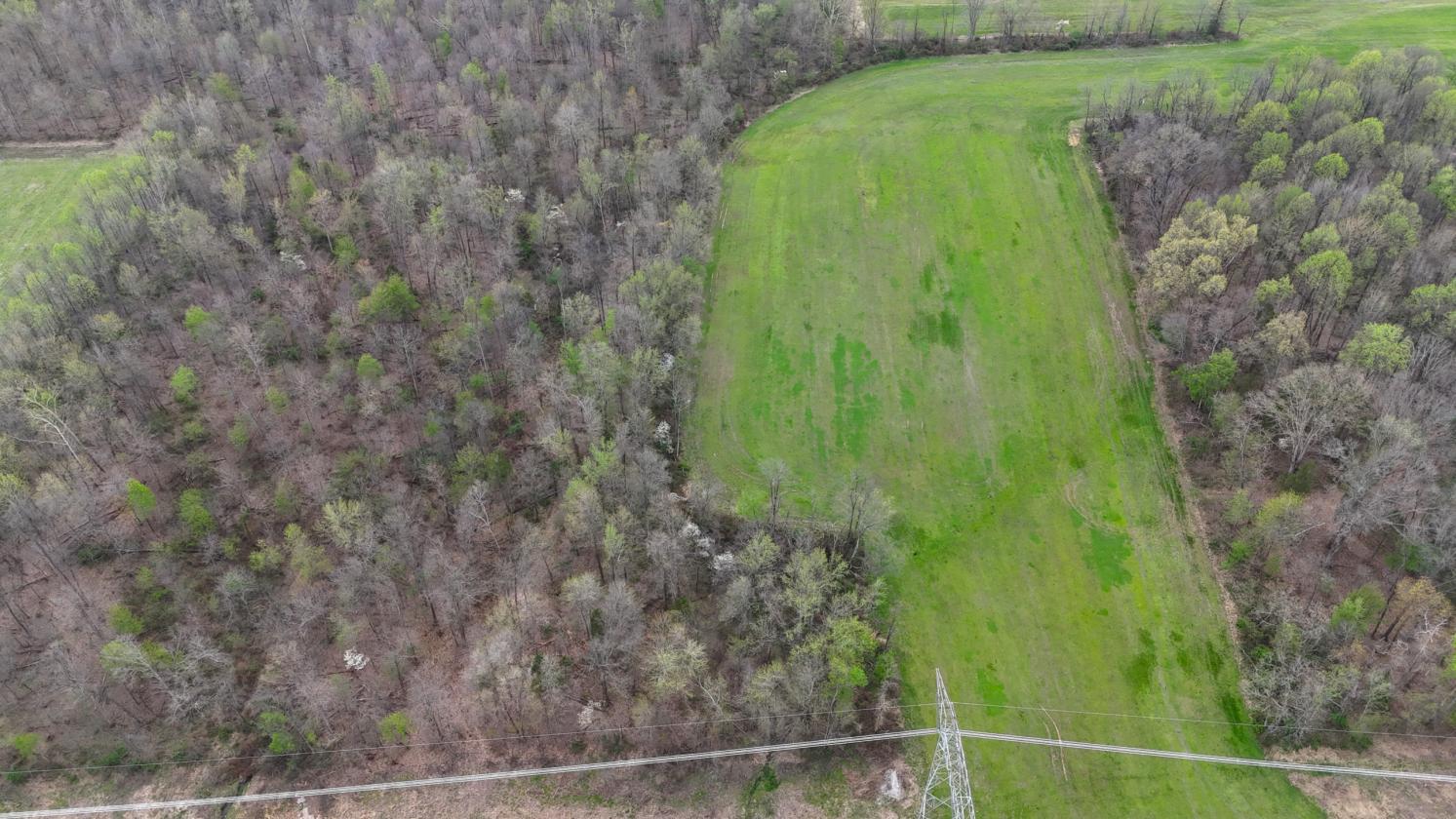 Excellent Acreage For Future Equestrian Property - photo 4
