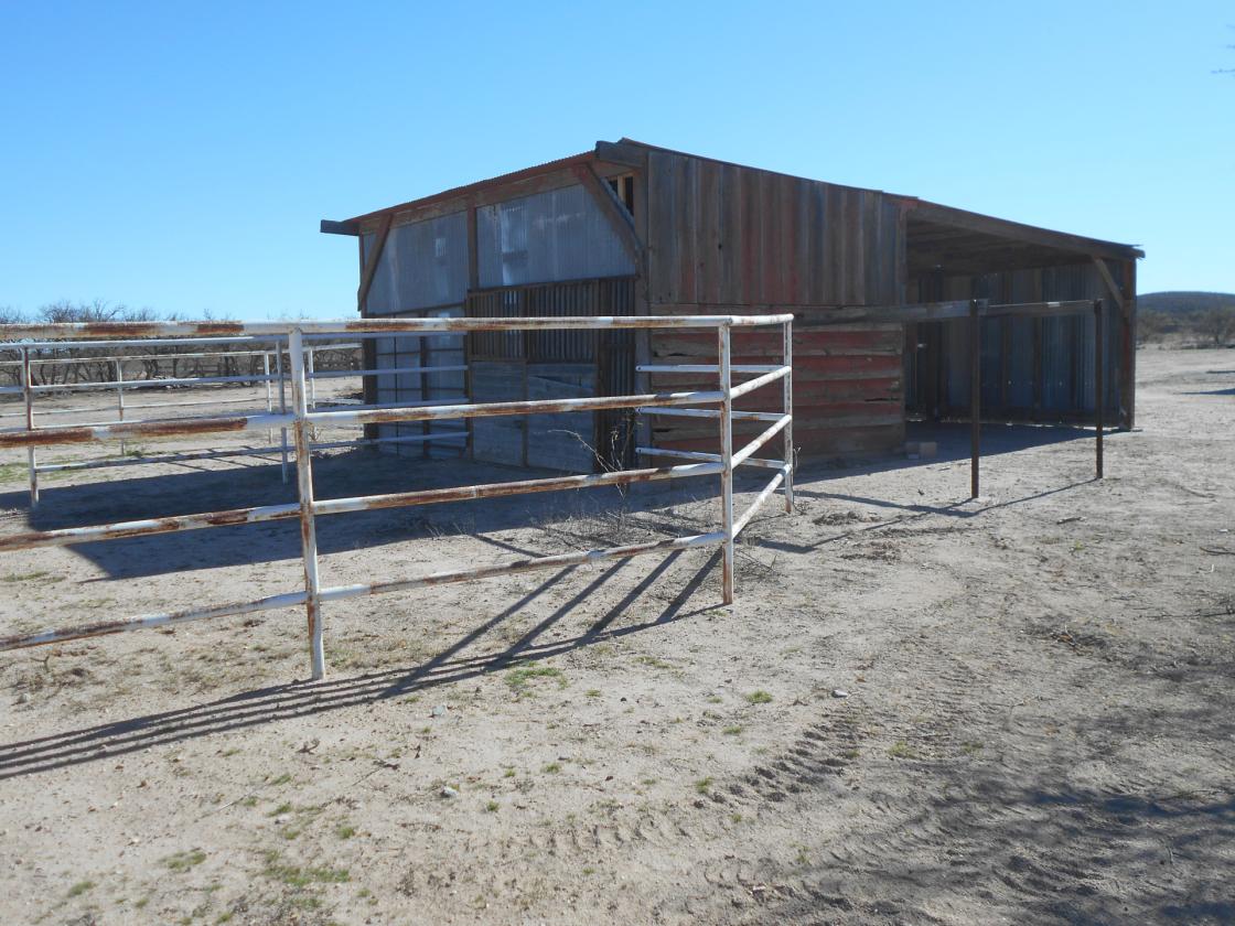 Horse Property - 69 Acres on San Pedro River! - photo 17