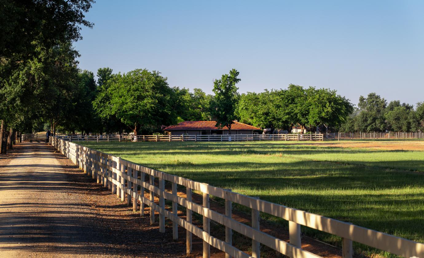 Well | Green Pastures | Barns | Arena |Gated |Oaks - photo 9