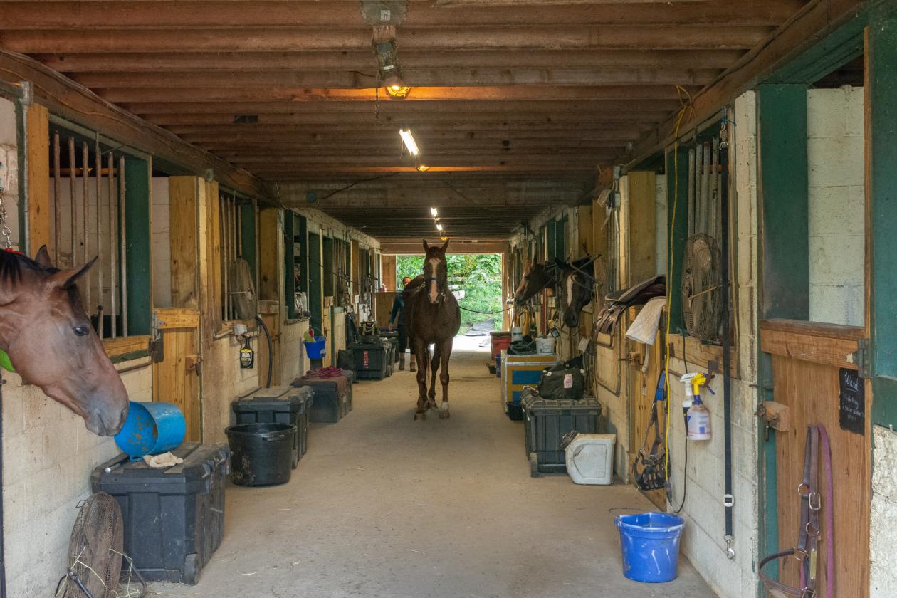 100 Acre Equestrian Estate with Infrastructure - photo 15