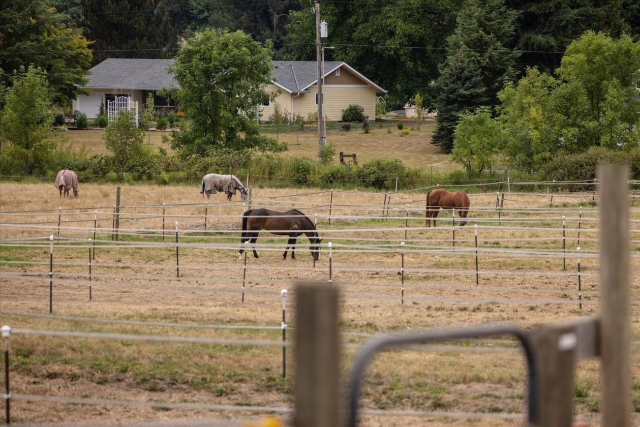 35 Stall Barn with Arena on 20 Acres - photo 7