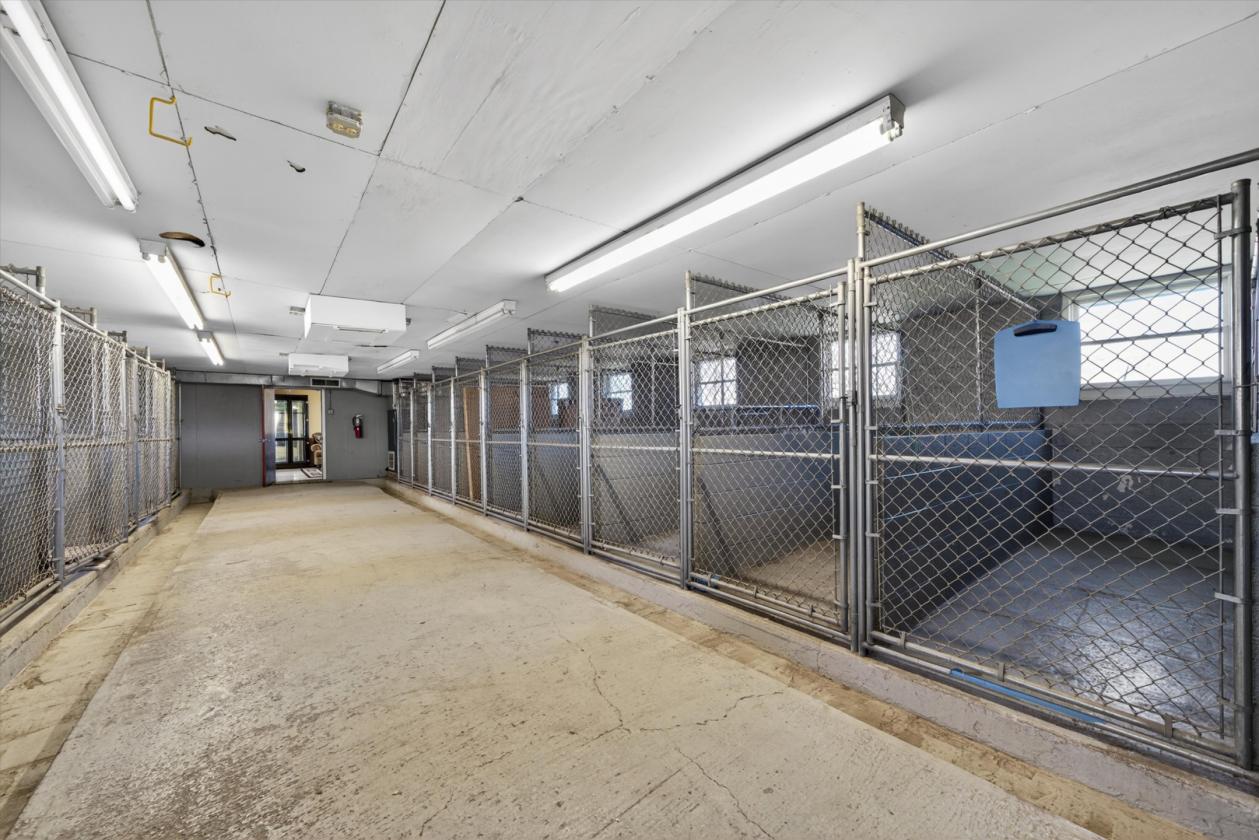 Equestrian Mini Estate in Goshen - photo 18