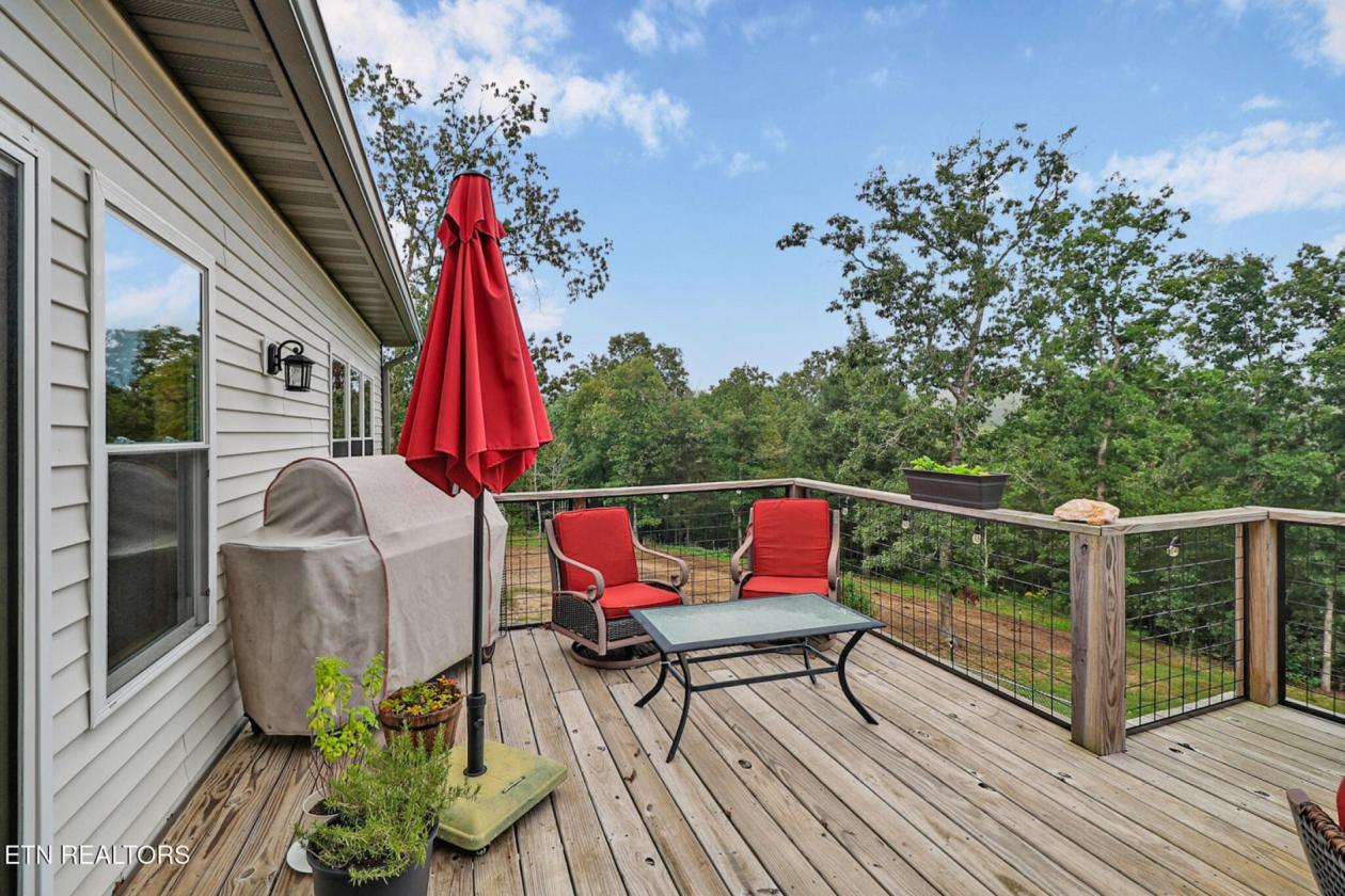Modern Basement Ranch in Big South Fork - photo 5