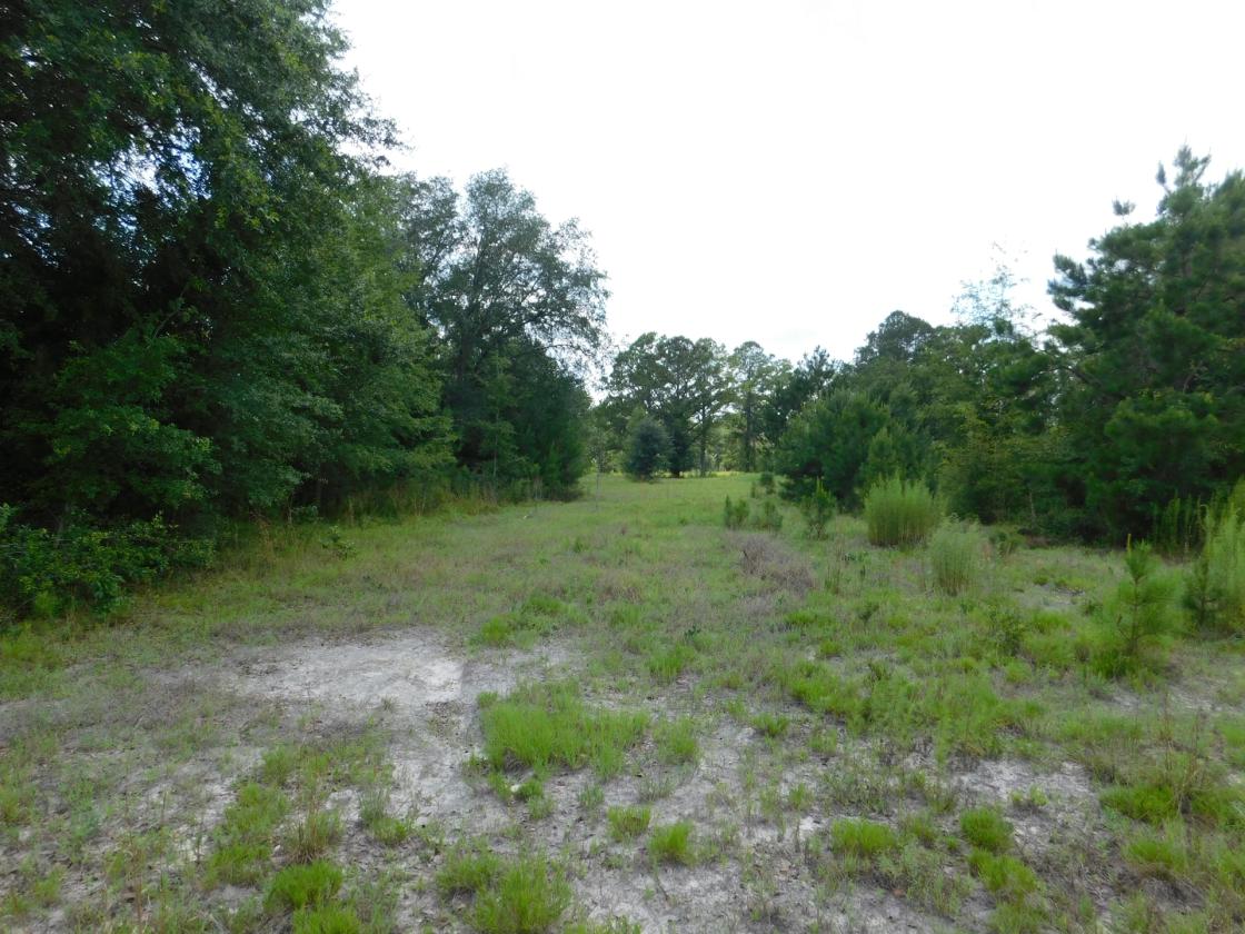 Lowcountry Paradise, waiting for your creativity - photo 5