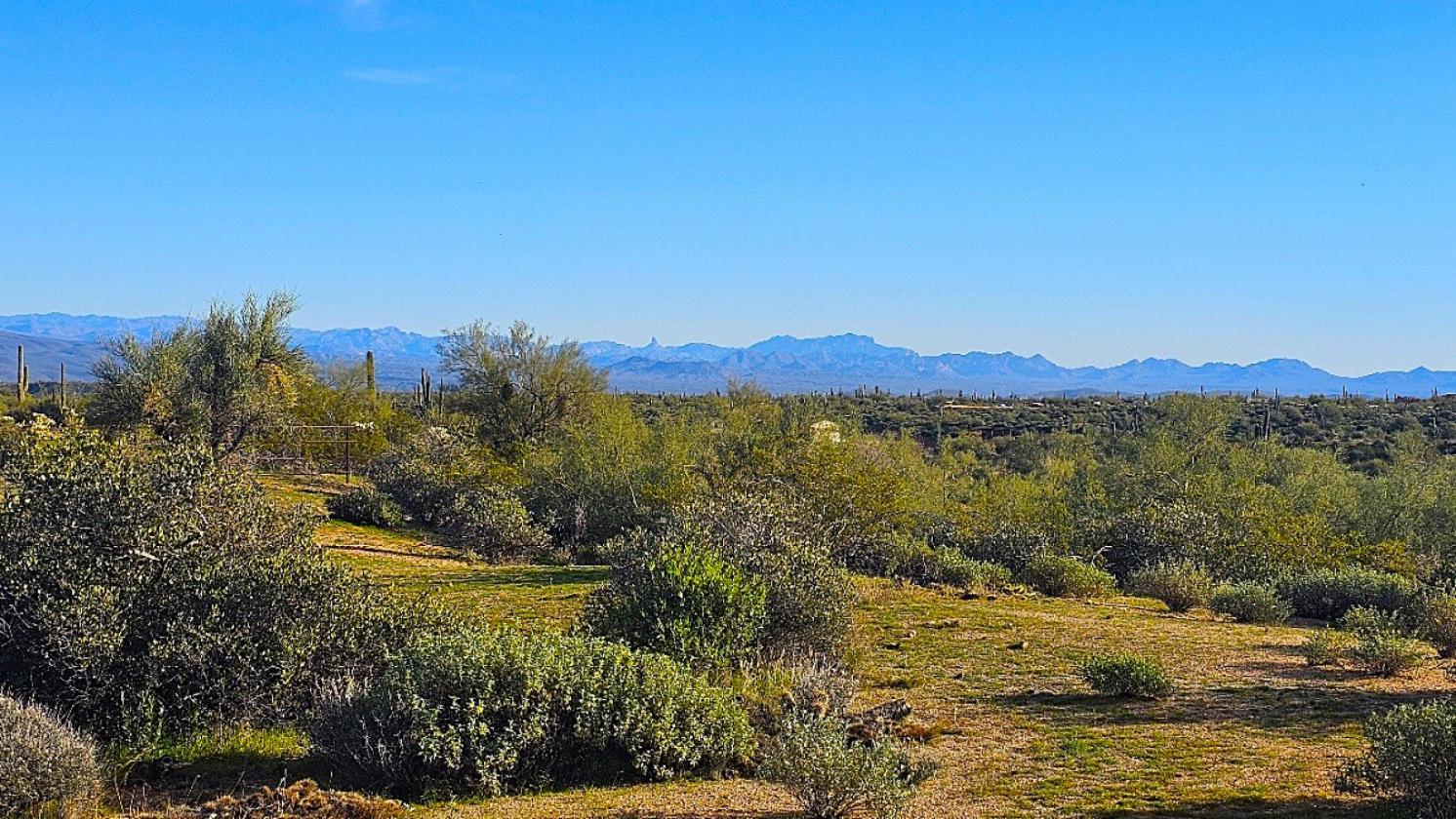 ACREAGE- NATIONAL FOREST FRONTAGE, PRIVATE WELL - photo 15