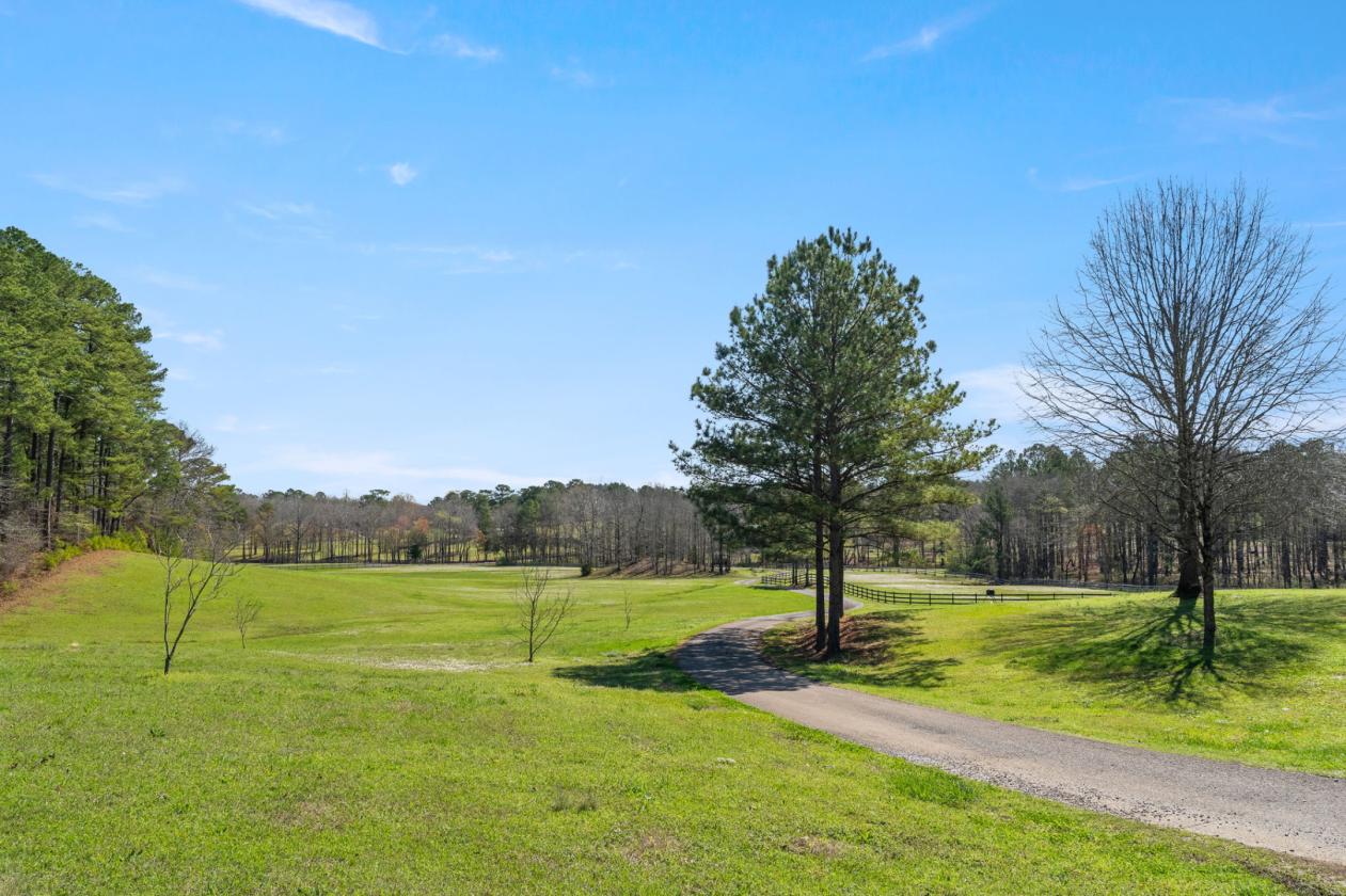 Luxury Farmhouse Equestrian Estate - photo 26