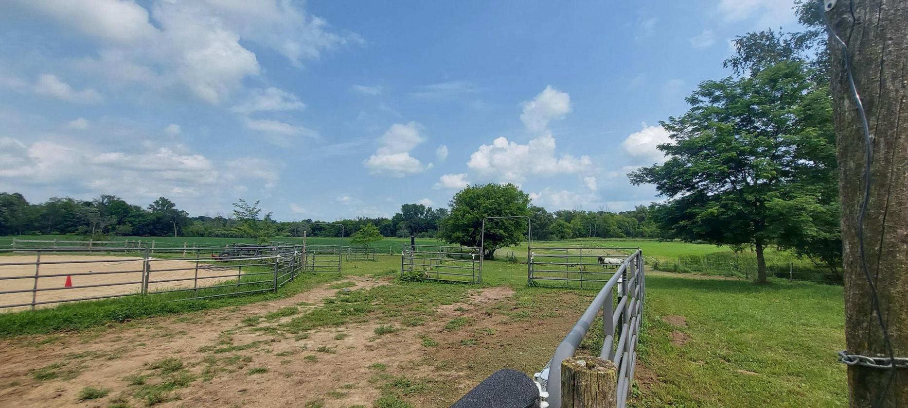 Horse Property with Home, Barn, Arena & Pasture - photo 26