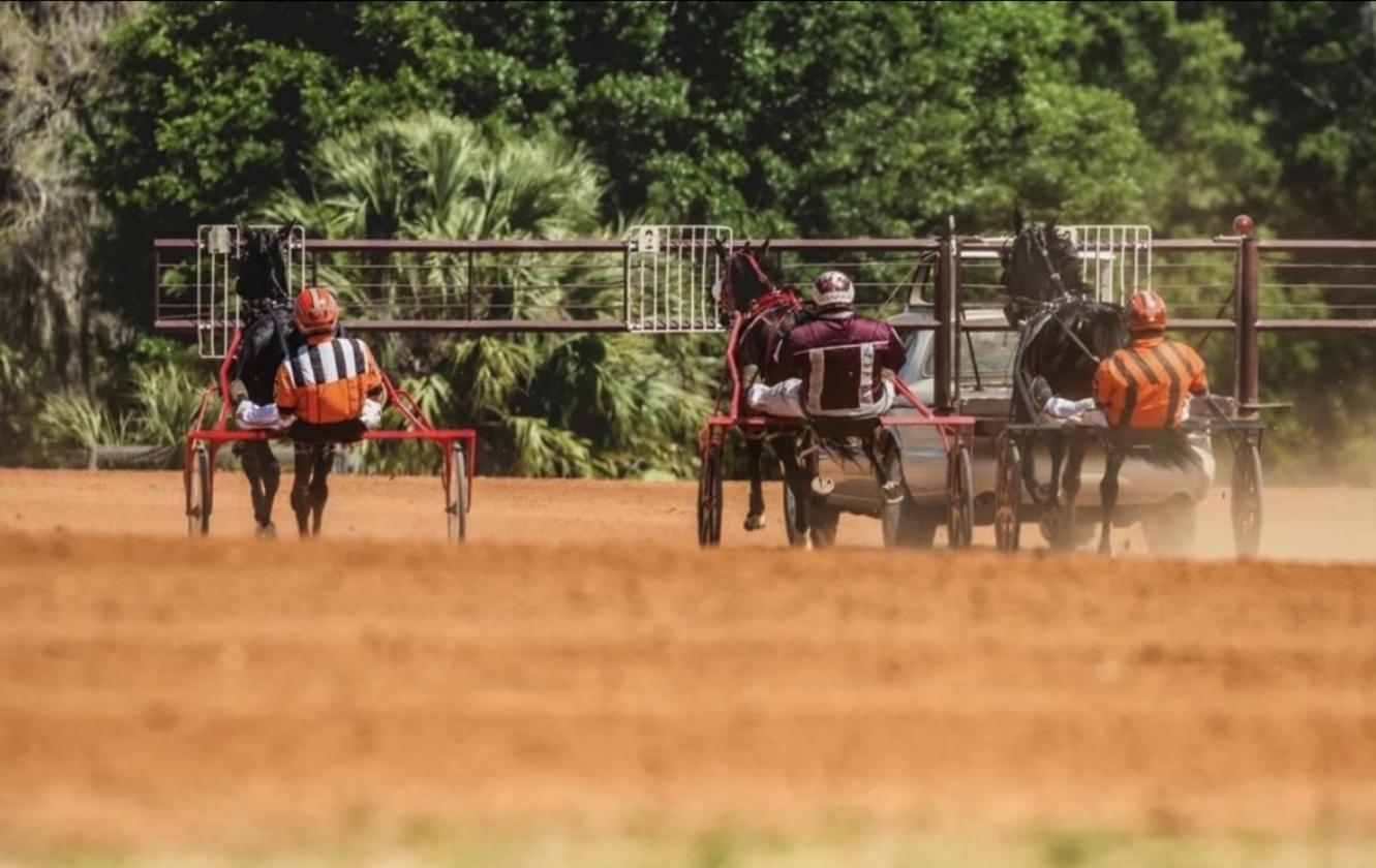 10 Acre Horse Facility/Harness Racing Community - photo 27