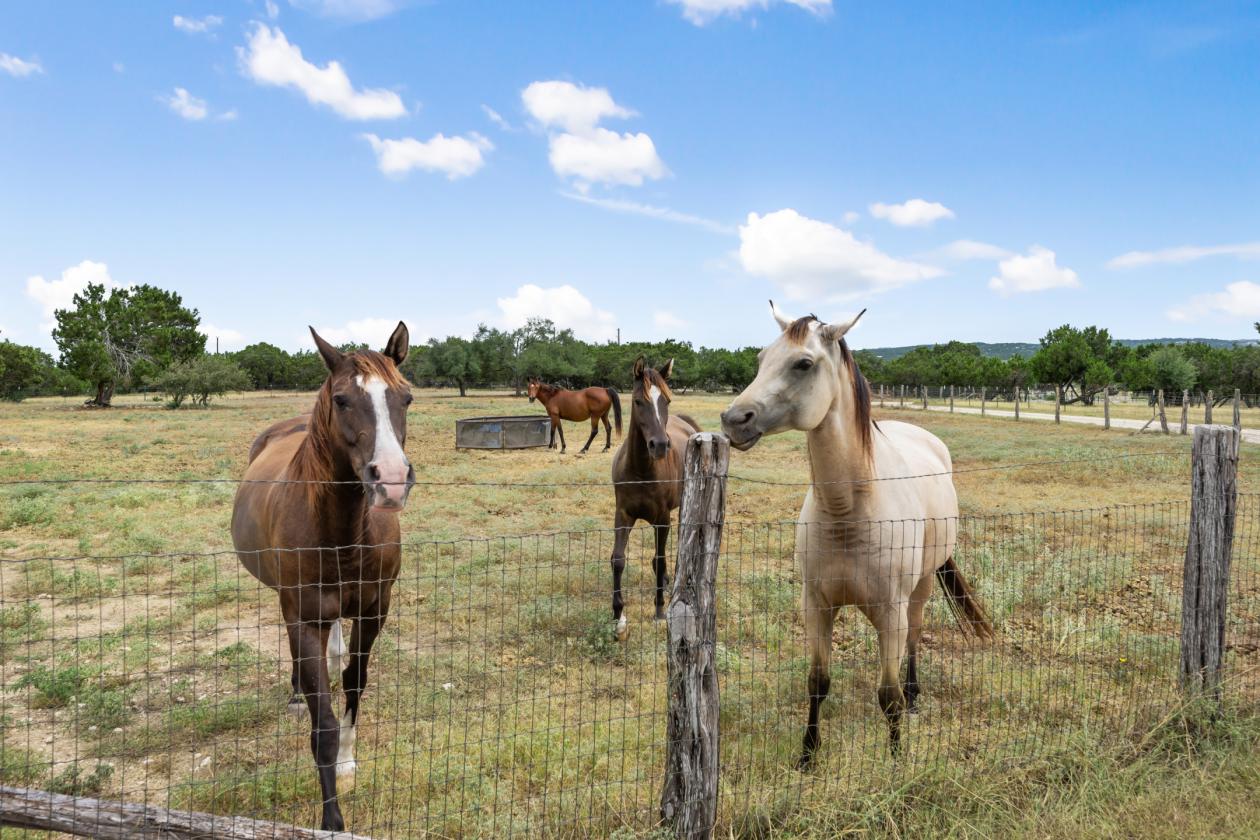 Fenced AG exempt Ranch on 14.4 acres with VIEWS - photo 2