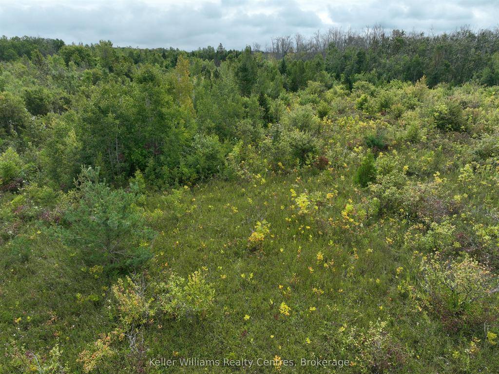 Horse Property for sale.