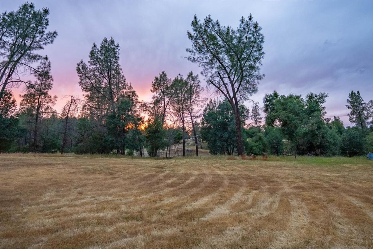 480 Acre Litte Crane Creek Ranch - photo 27