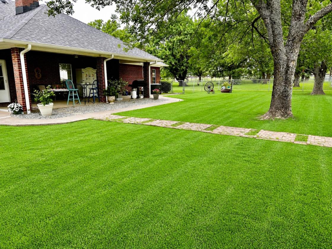 Luxury equestrian estate with a covered arena - photo 24