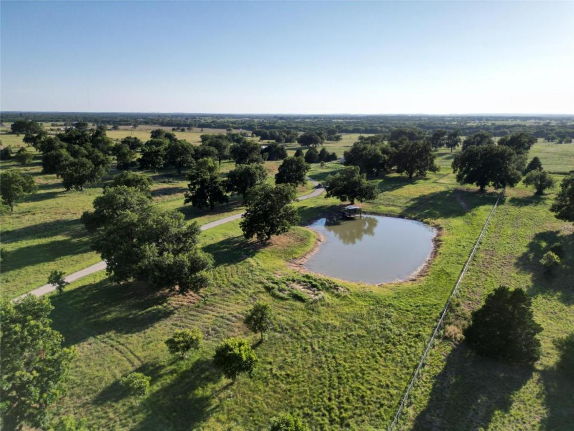 11 Acres of Pecan Trees - photo 20