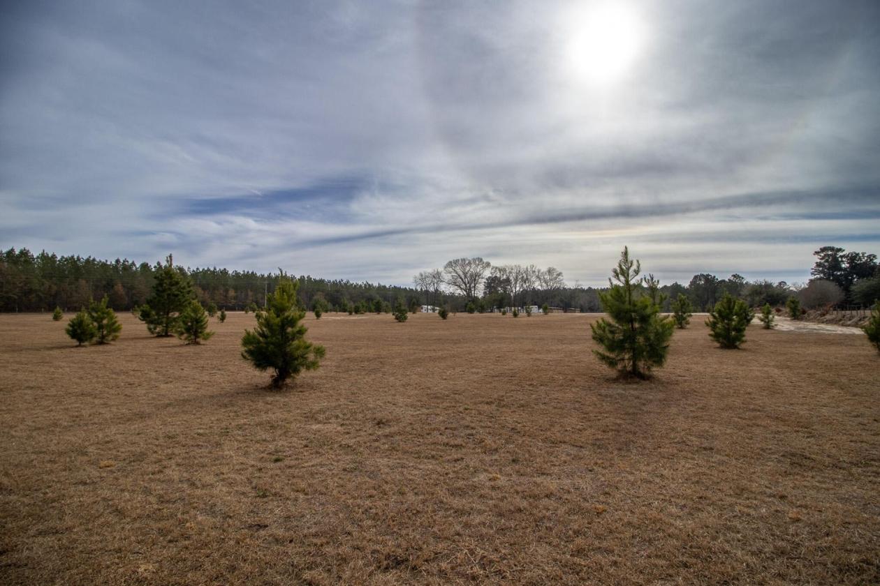 Affordable Horse Farm on 13 acres in Aiken County - photo 19