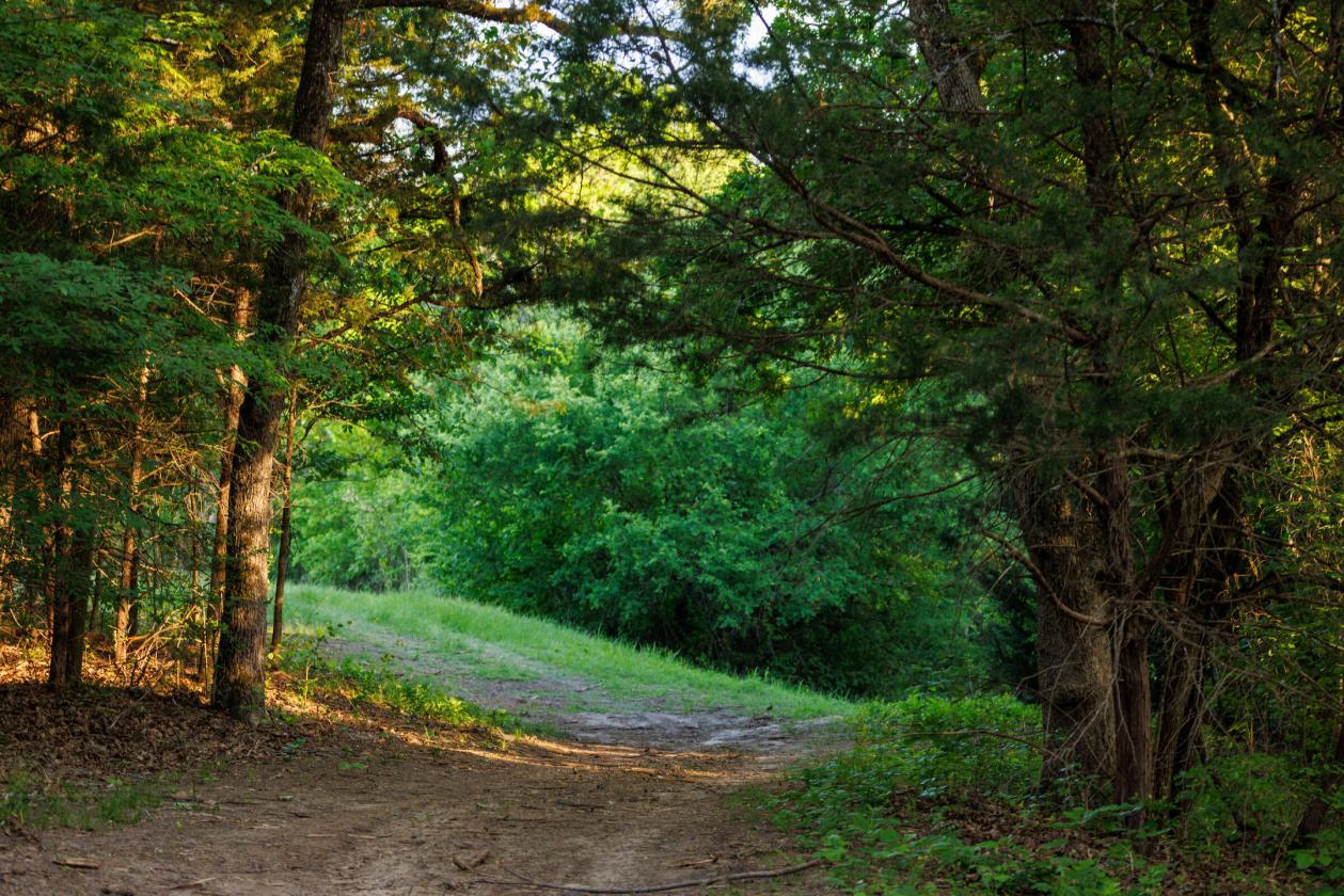 Brittany Hollow Ranch - photo 9