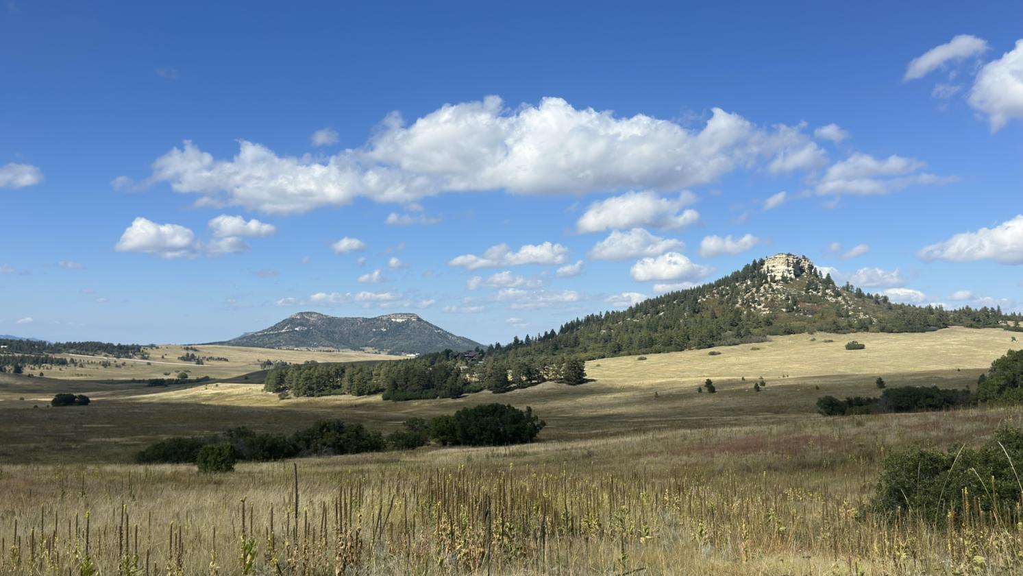 Ghost Rider Ranch - photo 15