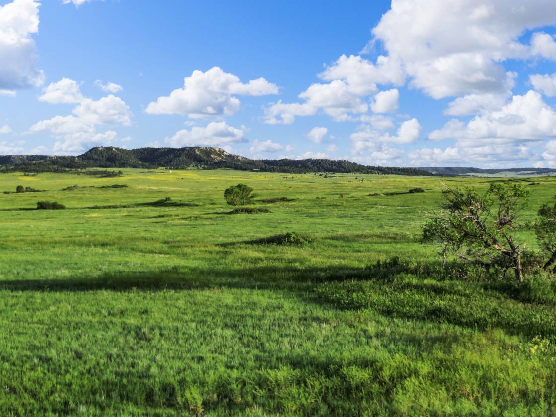 Horse Property for sale.