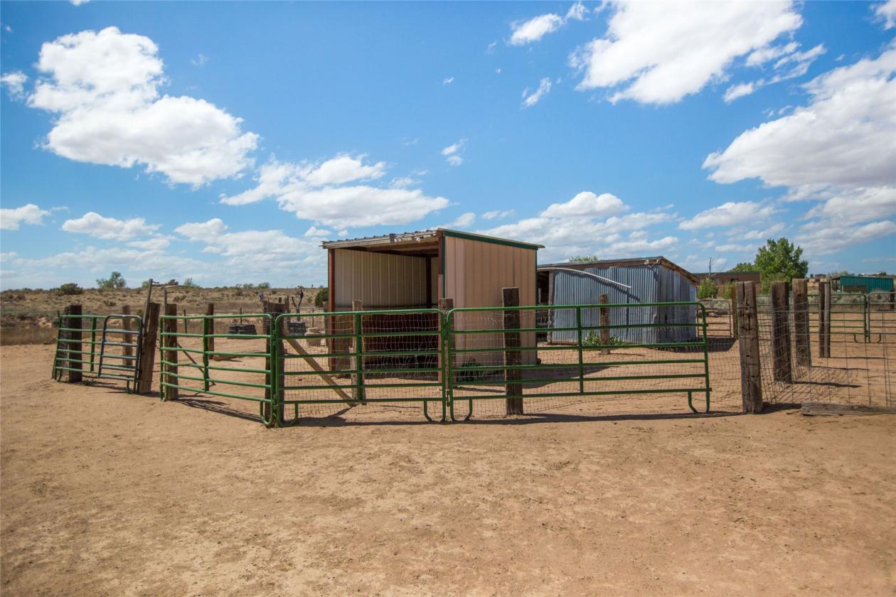 Starry Night Ranch - House/Guest House/Barn - photo 27