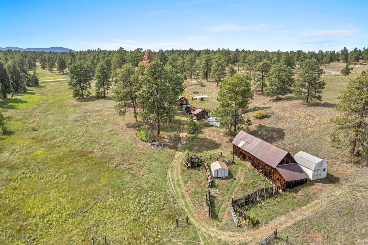 Spring Creek Ranch | Historic Horse Property - photo 4