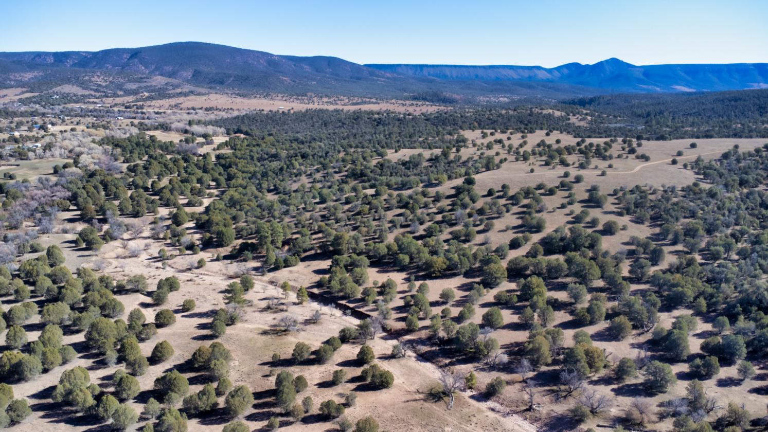 River Ranch - Young, AZ - 159± Acres - photo 15