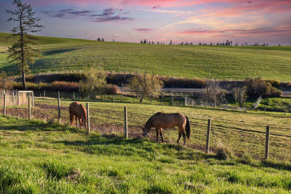 stables