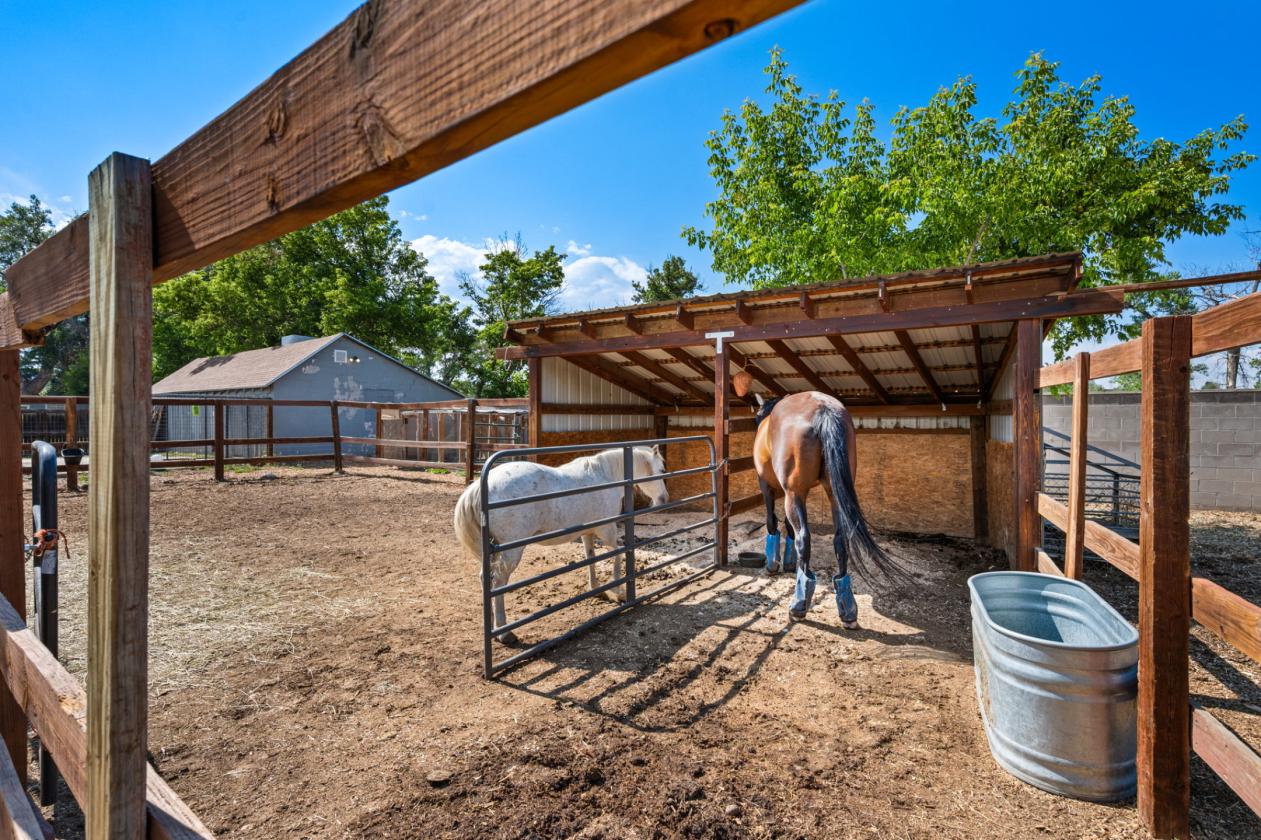 Urban Horse Property in Jefferson County - photo 19