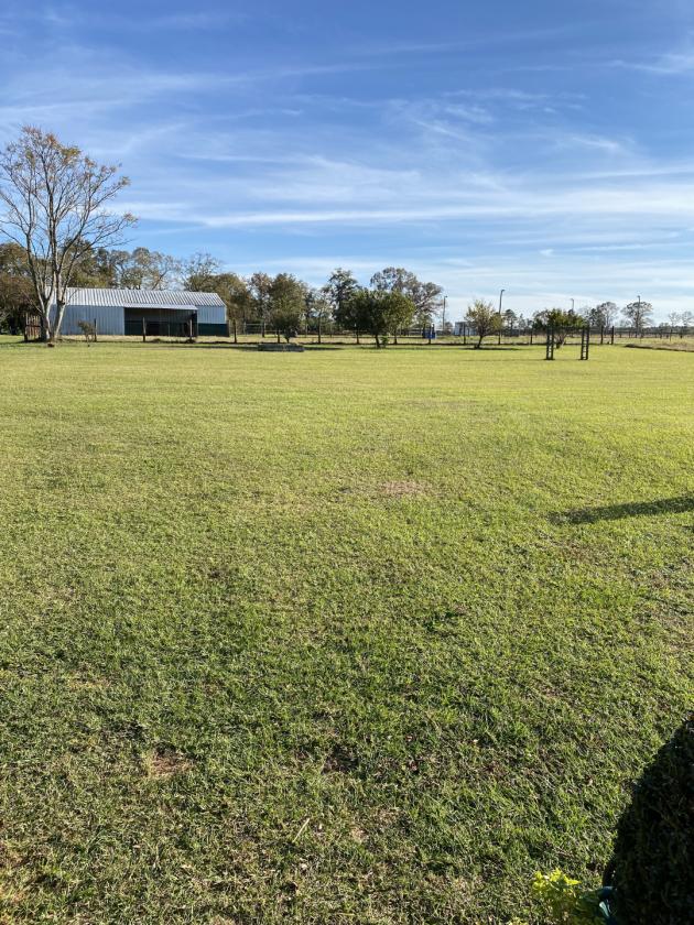 Claddagh Farm: 70+ acre horse farm - photo 11