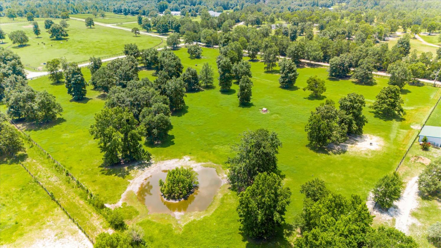 Aiken Farm |30 Acres, 16 Stalls, Home, Pool, View - photo 13