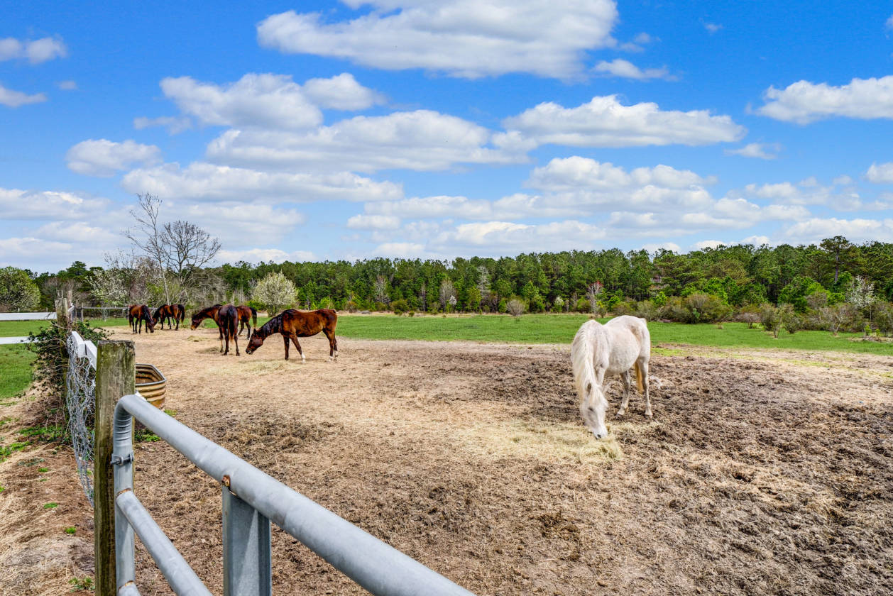 Over 25 ACRE Horse Farm in Eastern NC! Two 11Stall... Richlands
