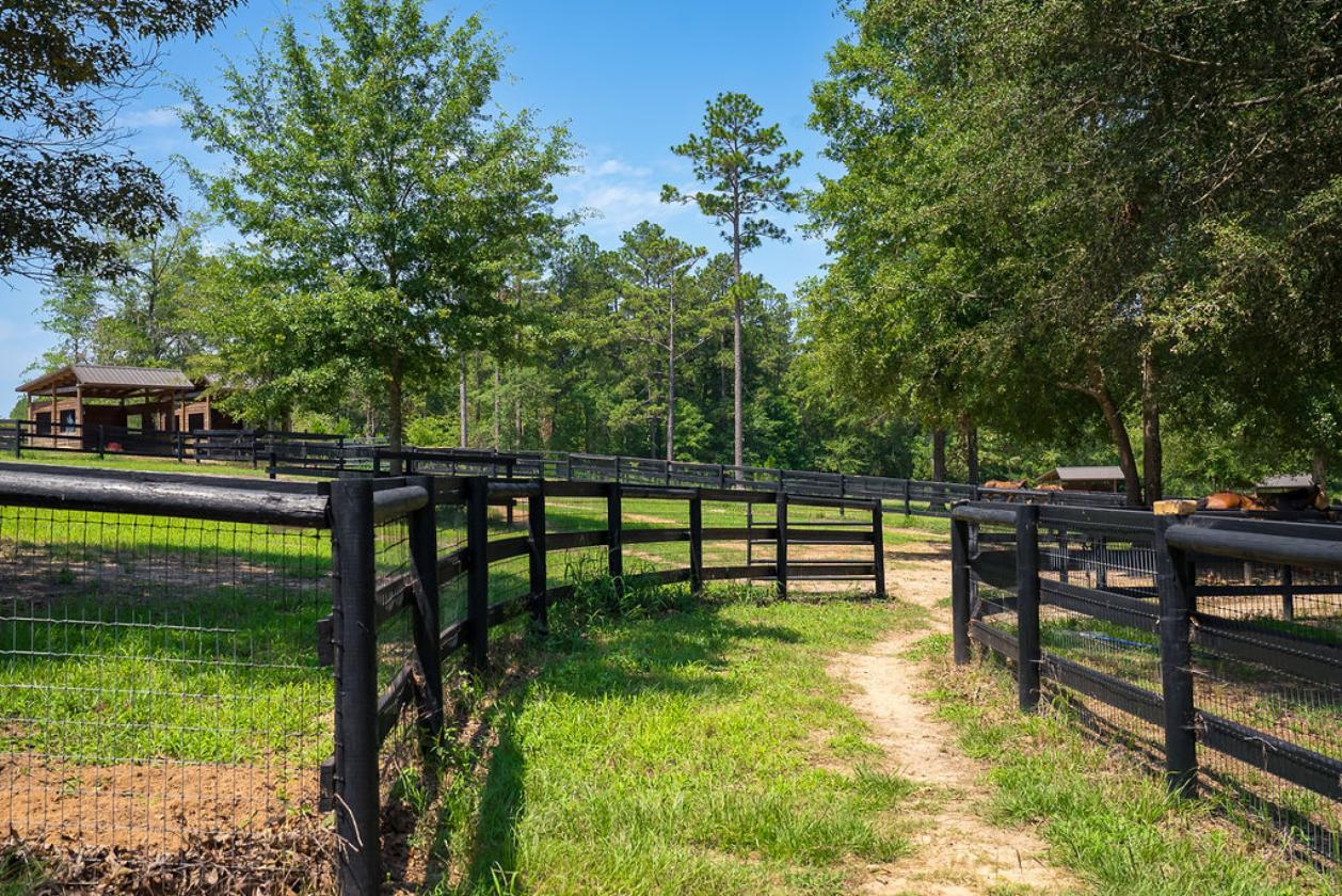 Horse-Ready in Aiken’s Goodsprings Plantation - photo 8