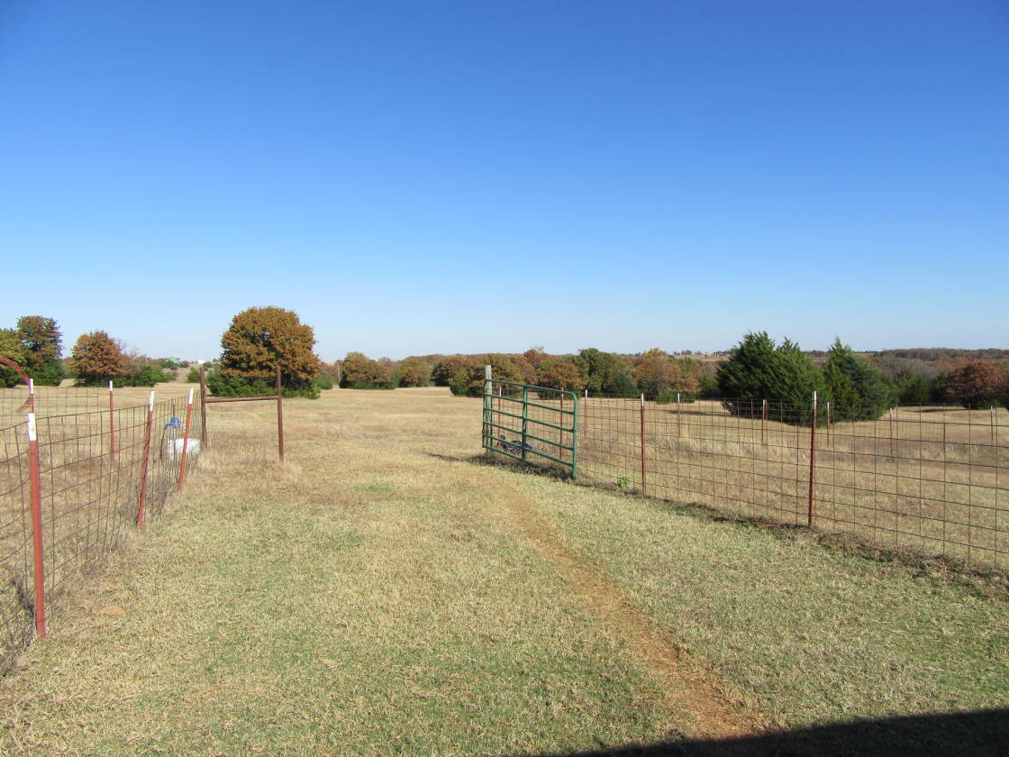 20 acre Horse Property / 6 stall barn, totally fenced... Chandler
