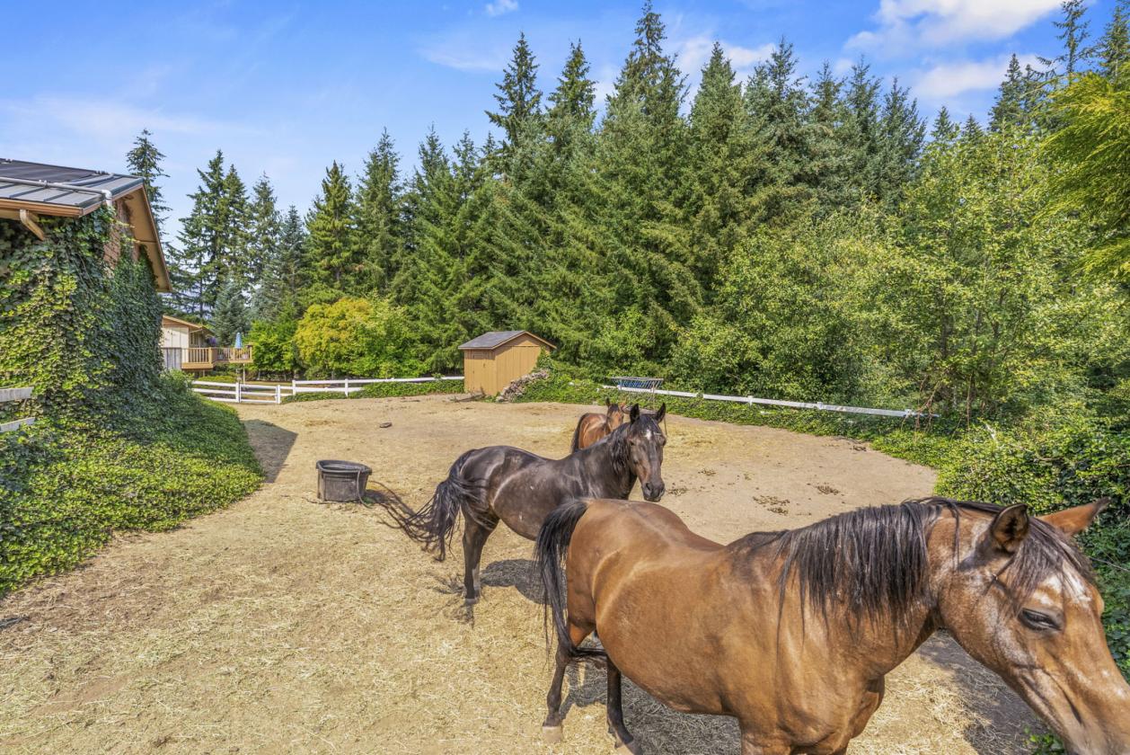 Rose Valley Horse Property with a Pool! - photo 6