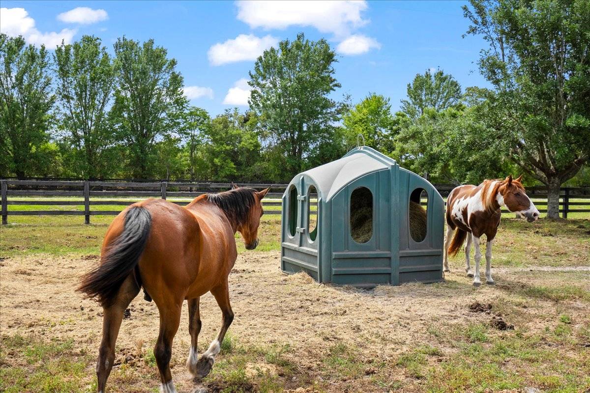 Large Stable with newly built barndominium - photo 5
