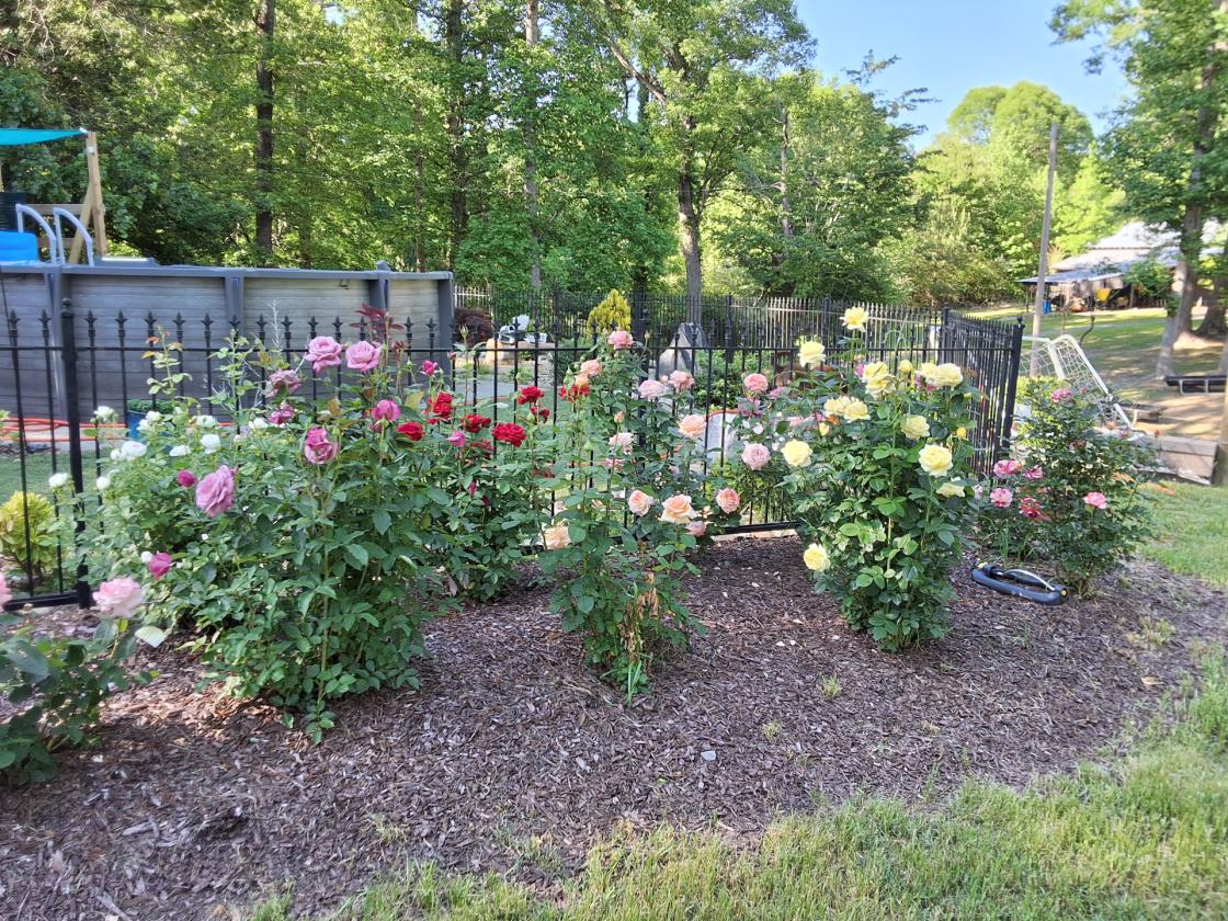 Gentleman's Country Farm - photo 7