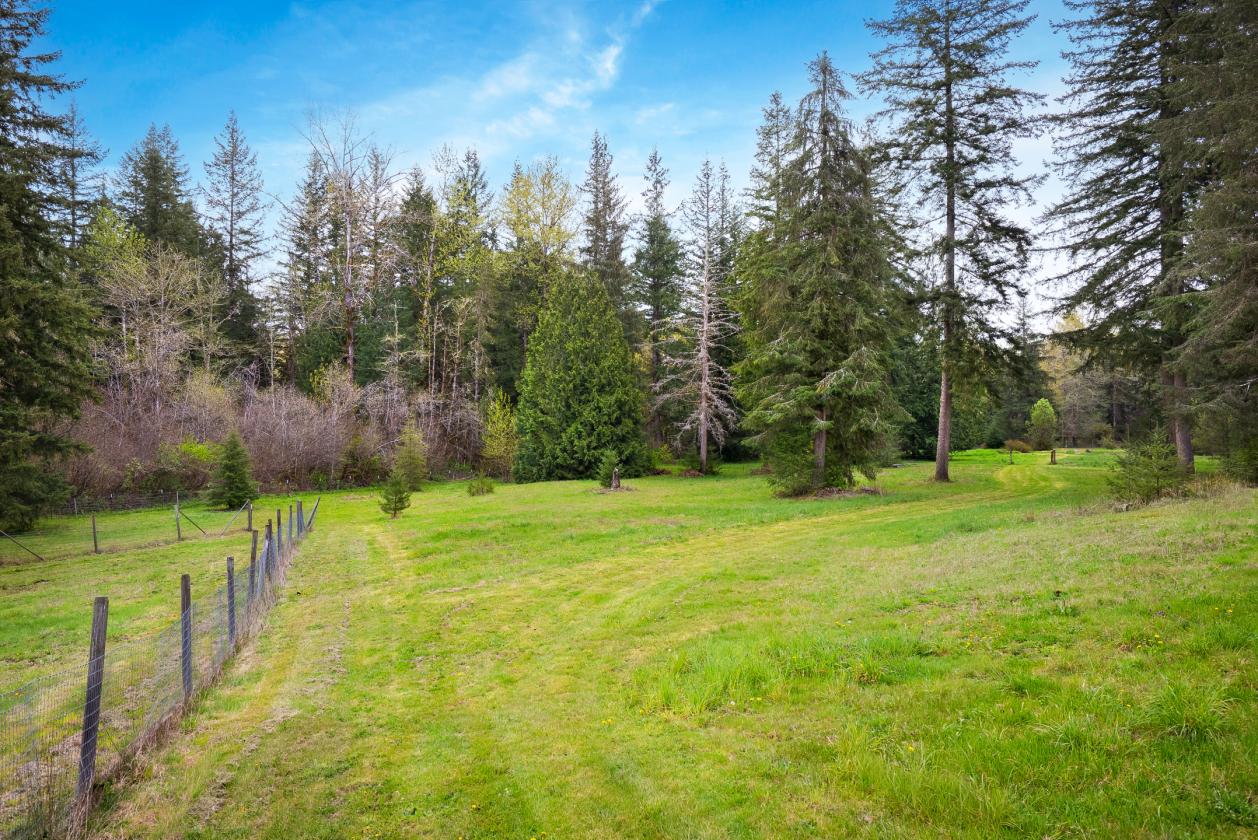 10.5 ACRES | PASTURE | PRIVACY - photo 3