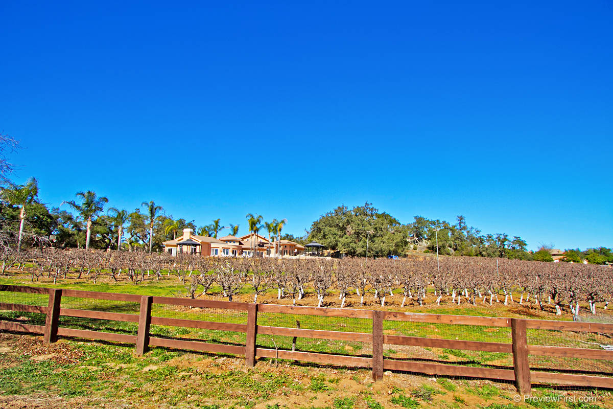 Entertainers paradise with great horse facilities and Apple Orchard