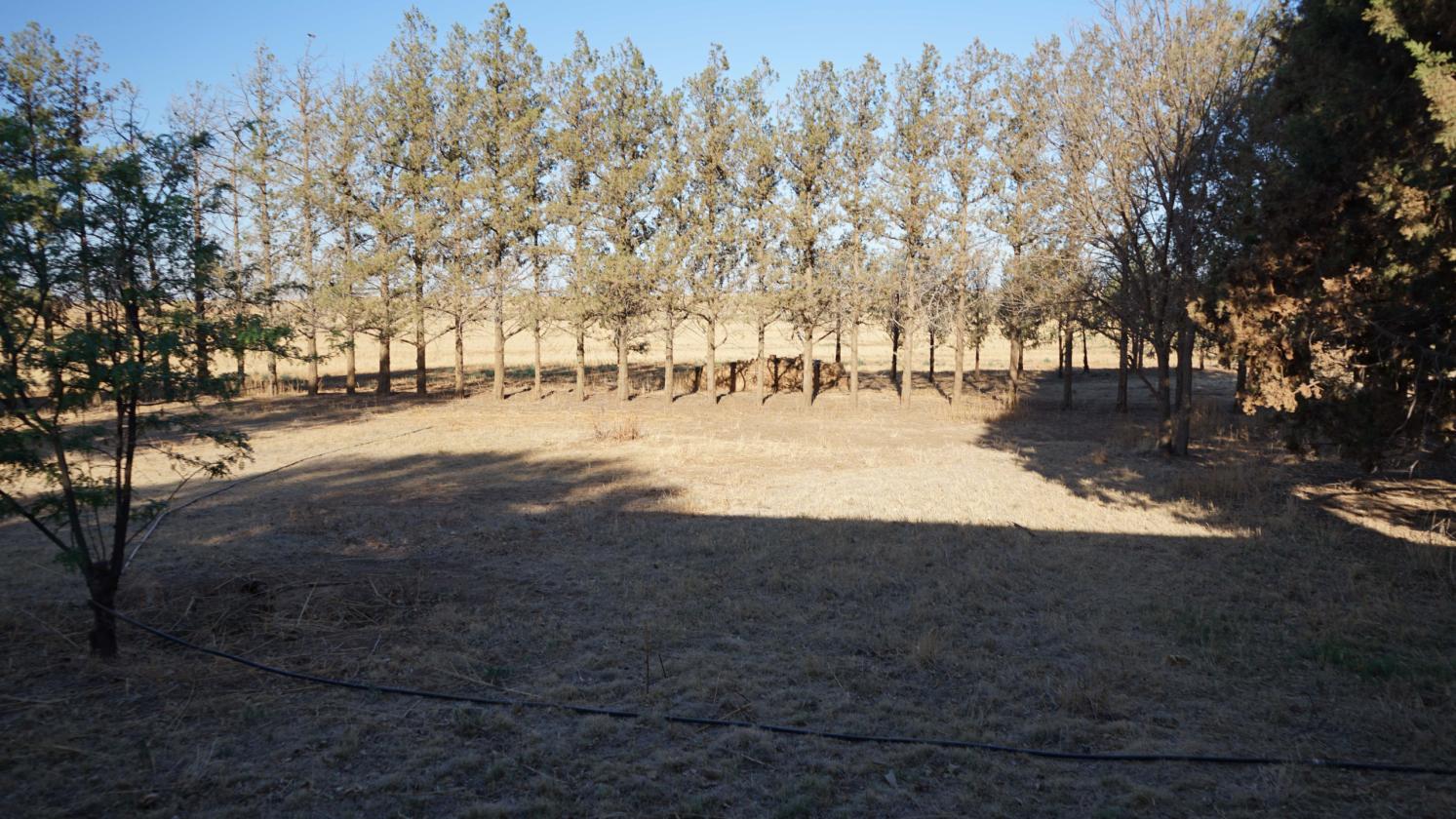 Updated Country Estate on 16.36 +/- Acres - photo 25