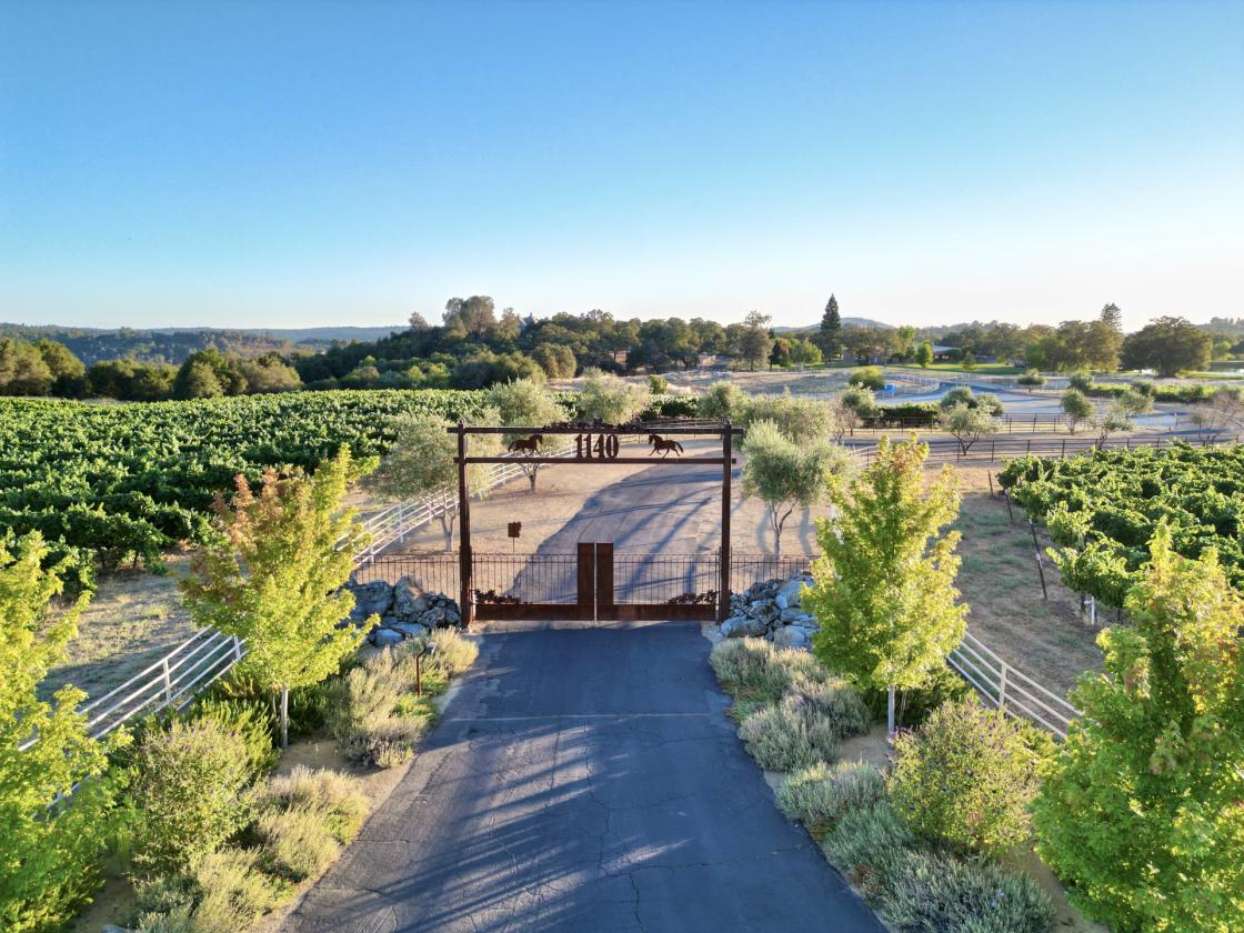 116-Acre Luxury Equestrian Estate & Vineyard - photo 3